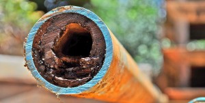 Calcified Water Pipe