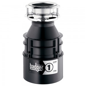 badger1_reg