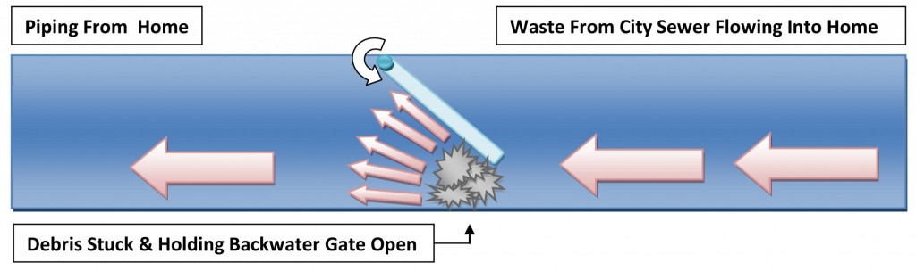Back Water Valve Debris Stuck-1